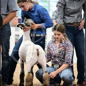 Meet your Posher, Sidney